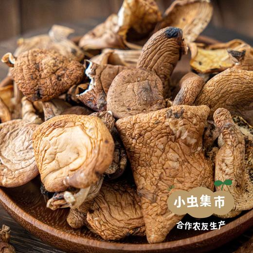 云南野生香菇干 100g/200g | 合作农友生产，来自云南楚雄永仁，生产者：李康丽 *【公平贸易农人定价】 商品图12