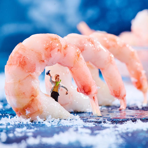 【海朴】丹麦北极甜虾熟冻虾盒装去壳去虾头鲜美方便食用 商品图2