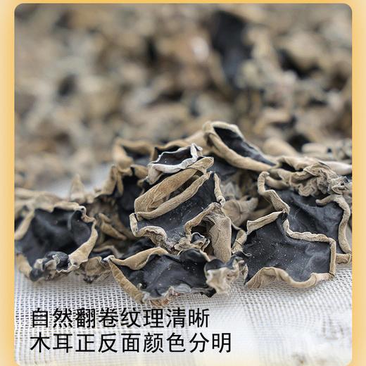 【一年只一季的头茬木耳】亦川拾集|春季头茬黑木耳|生鲜级木耳|  2024年的黑龙江春季头茬木耳终于上市啦！ 商品图2