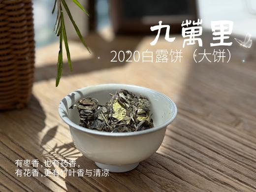 【年份白茶珍藏】5年花期，2020白露茶《九万里》，成了一块枣香与药香并列双姝的年份珍藏 商品图6