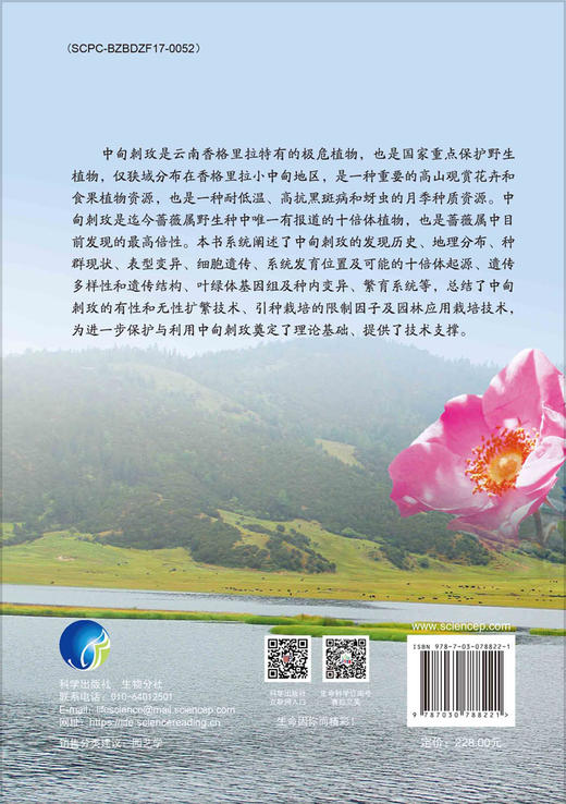 中甸刺玫资源研究与利用 商品图1