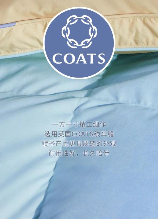 富安娜红嘴雁鸭绒被幻之寐彩·冬厚款 商品图1