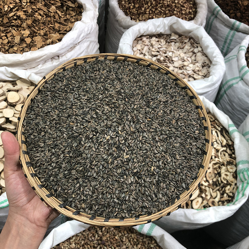 牛蒡子 当季新货 农家生晒 中药材