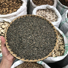 牛蒡子 当季新货 农家生晒 中药材