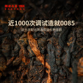 澜沧古茶2021年0081大饼云南七子饼普洱茶原产地干仓储存熟茶357g