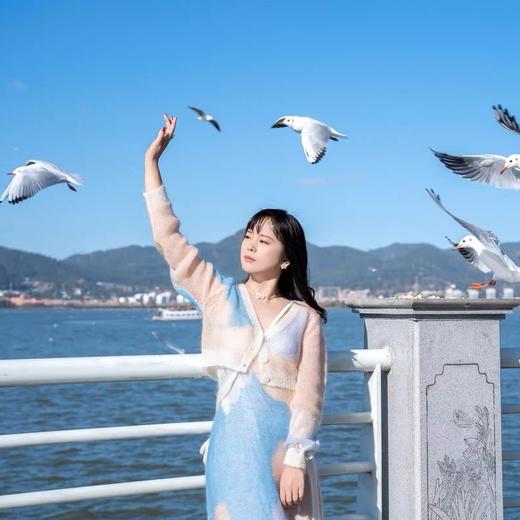 唯美自然，独一无二的HF小苍兰花园系列 气质纯美 美好寓意的小花 商品图8