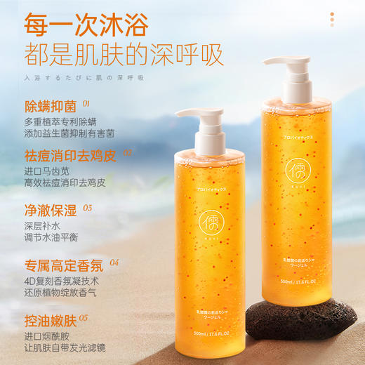 儒意乳酸杆菌嫩肤净透沐浴露500ml 除螨沐浴露 益生菌去螨虫 后背祛痘去鸡皮持久留香 | 儒意官方商城 商品图1