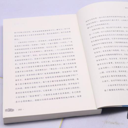 少年的美丽乡愁系列 梨花里 荆歌 明天出版社 9-12岁儿童读物 商品图2