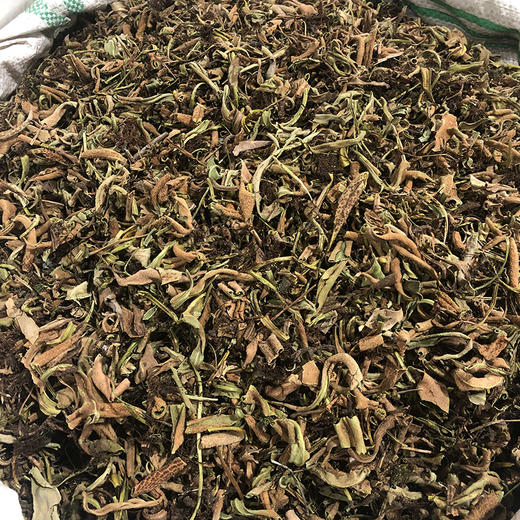 石苇 石伟 当季新货 农家生晒 中药材 商品图2