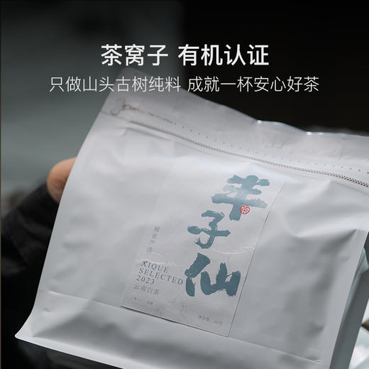 稀雀 2023年半子仙云南白茶100g 商品图4