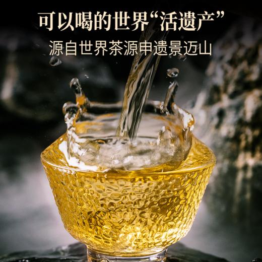 澜沧古茶2022年001芳沱云南景迈纯料古树头春普洱茶生茶200g 商品图2