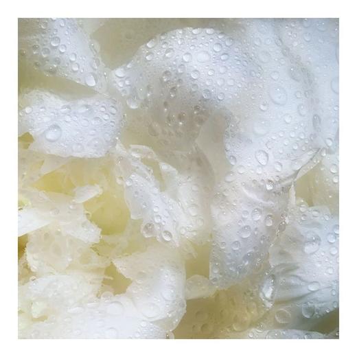 【保税仓直发·全球购·蚂蚁链可扫码溯源】HR赫莲娜至美琉光恒采精萃露（小露珠）200ml【爆款专属】『此链接商品请分开拍单-单独下单』 商品图4