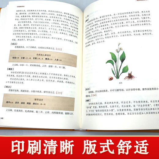 彩色图解伤寒论（布面精装） 中医传世经典，白话彩图典藏版 商品图3