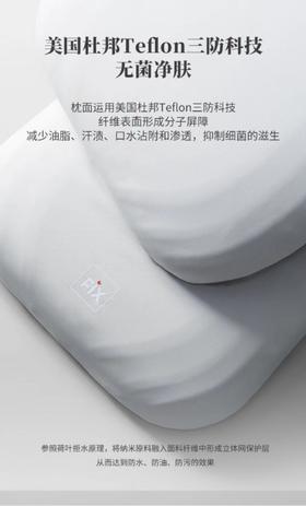 梦洁爆款泰国皇室进口三防乳胶对枕（48*70）