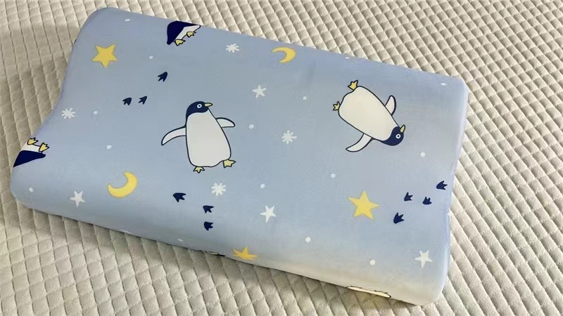 凉感记忆枕（1个枕芯+2枕套）