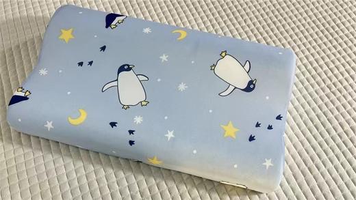 凉感记忆枕（1个枕芯+2枕套） 商品图0