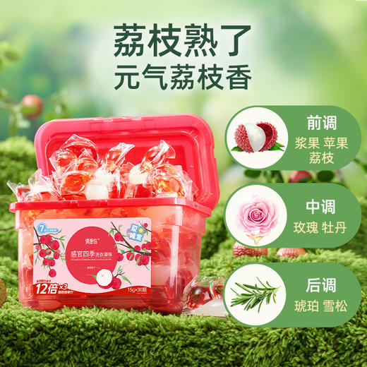 【供货】偶爱你感官四季洗衣凝珠7重酵素12倍洁净香水级香调 商品图9