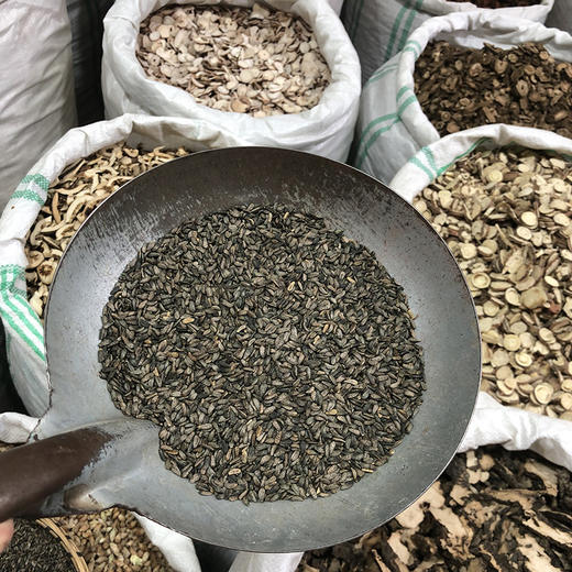 牛蒡子 当季新货 农家生晒 中药材 商品图3