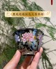 黑底珐琅国色天香单杯 商品缩略图0