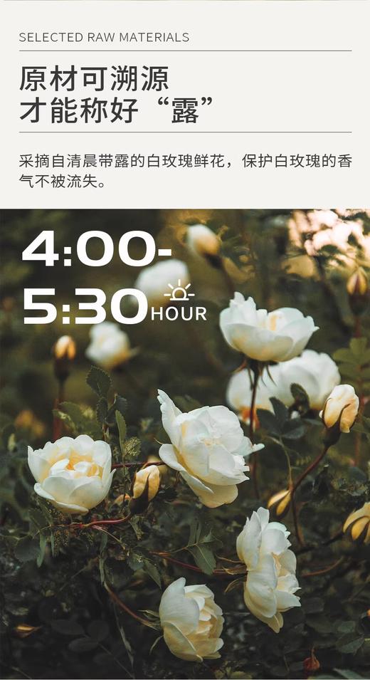 新疆伊帕尔汗白玫瑰纯露300ml面部护肤保湿喷雾湿敷爽肤水 商品图2
