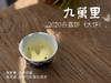 【年份白茶珍藏】5年花期，2020白露茶《九万里》，成了一块枣香与药香并列双姝的年份珍藏 商品缩略图13