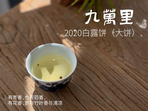 【年份白茶珍藏】5年花期，2020白露茶《九万里》，成了一块枣香与药香并列双姝的年份珍藏 商品图13