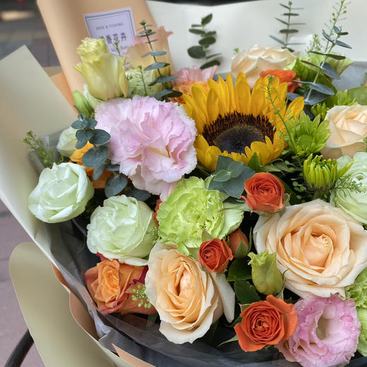 ［精彩纷呈］ 商品图1