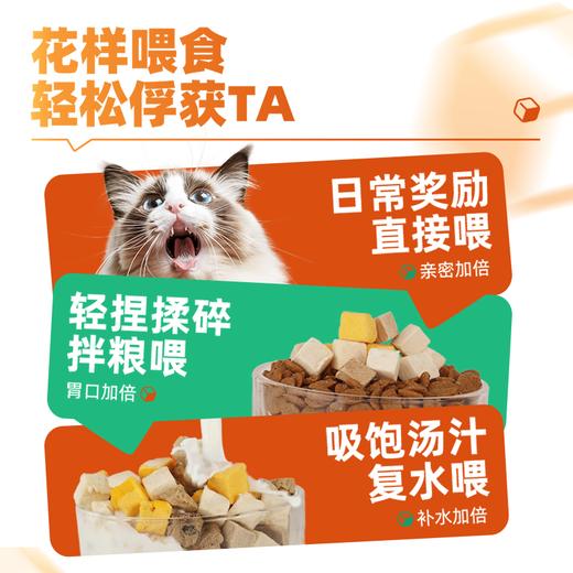 猫狗零食｜五拼多肉冻干桶｜五拼多营养｜100%动物性原料｜真肉原切 商品图4