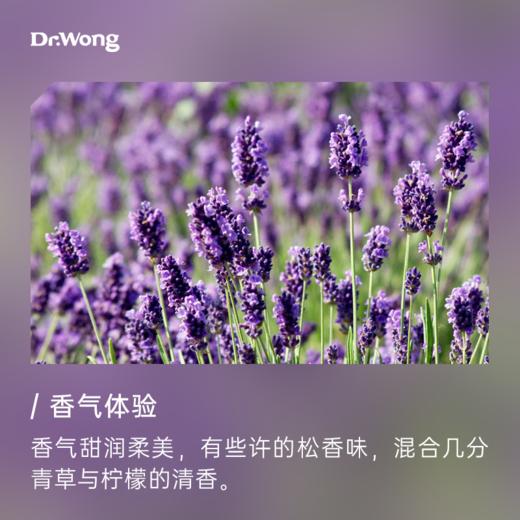 新疆真实薰衣草 植物香薰精油 商品图1