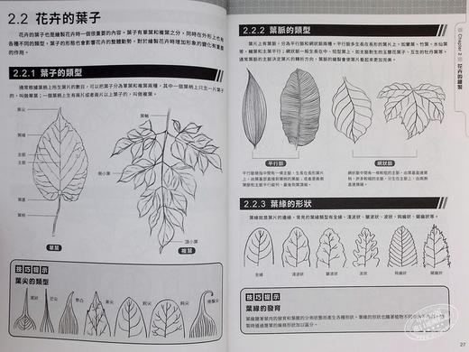 【中商原版】从零开始 实用速写技法课 学习绘画的入门手册 港台艺术原版 张玉红 邦联文化出版 商品图6