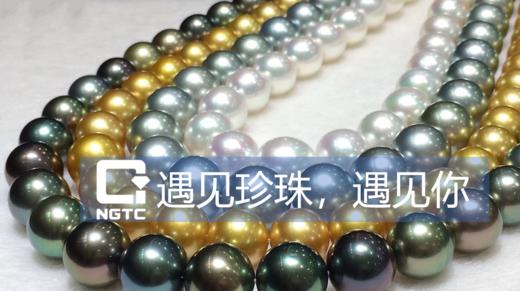 03珍珠的特殊地位 商品图0