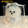 【马尔济斯小狗永生花玩偶】毕业礼物七夕情人节生日礼物 女孩高级感  商品缩略图1
