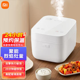 小米米家快煮电饭煲3L