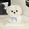 【马尔济斯小狗永生花玩偶】毕业礼物七夕情人节生日礼物 女孩高级感  商品缩略图4