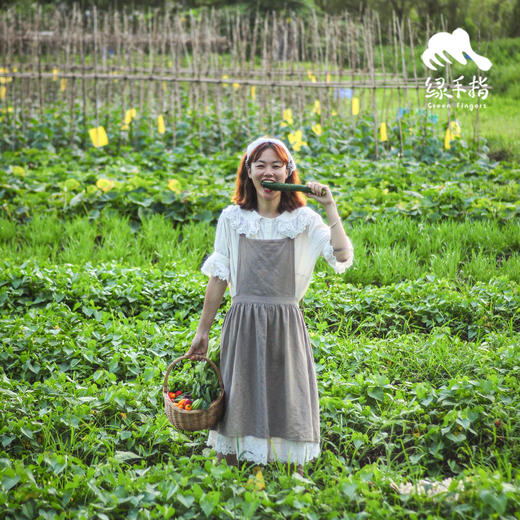 【总仓】单人蔬菇豆蛋体验份额（客服打电话确认后发货） | 绿家自产* EcoFresh Nine | In-House Production 商品图3