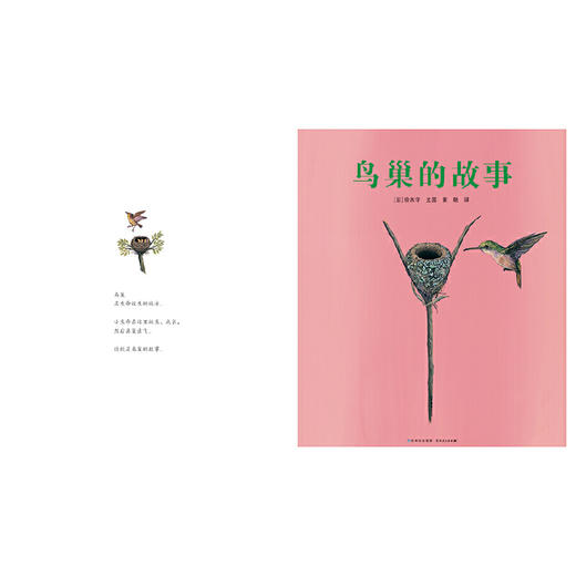 铃木守的鸟世界(全4册) 商品图4