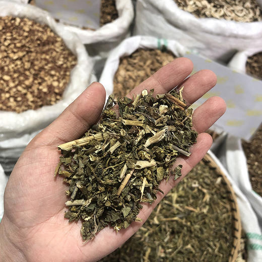 泽漆 当季新货 农家生晒 中药材 商品图4