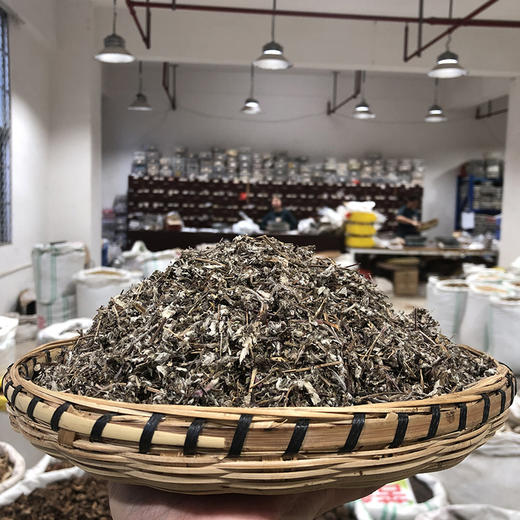 翻白草 当季新货 农家生晒 中药材 商品图2