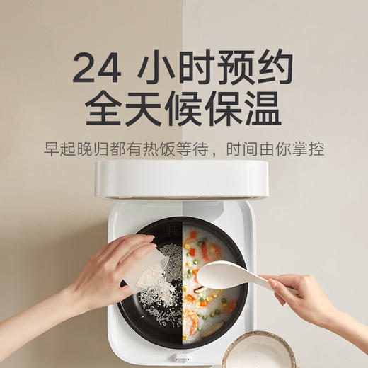 小米米家快煮电饭煲3L 商品图8