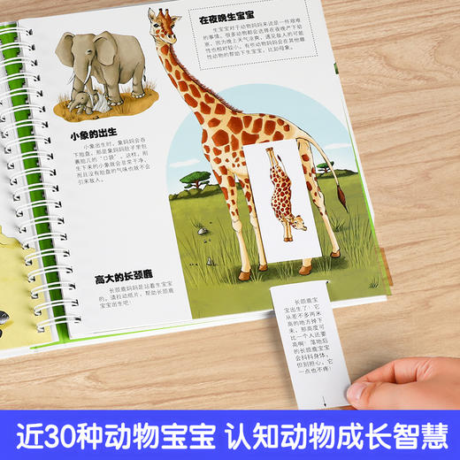 《我们的动物王国》绘本立体翻翻书，生动展示近30种动物宝宝的趣味生活，动物迷爱不释手（3-6岁） 商品图2