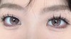 UtooCon月抛美瞳 钻石猫眼紫 14.2mm 商品缩略图0