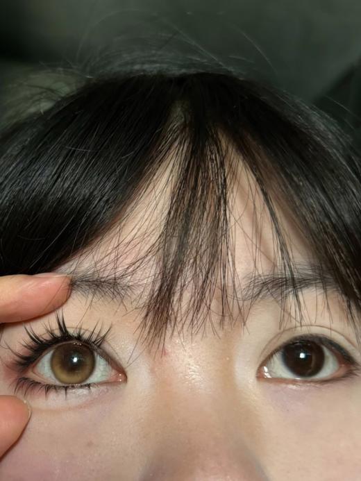 Jellydoll 日抛 我本莫测 14.5mm 一盒十片装 有半年抛 商品图1