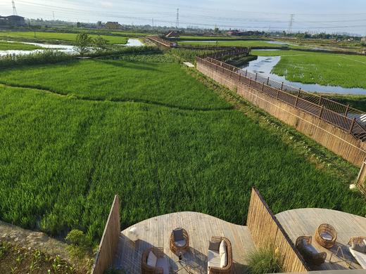 【德阳广汉-263号院】单房预定，16房亲子温泉私汤/泳池民宿，稻田，亲子活动，儿童游玩滑滑梯，田野漫步bmc 商品图7