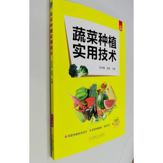 蔬菜种植实用技术   刘中良 武良(刘中良  武良) 商品图3