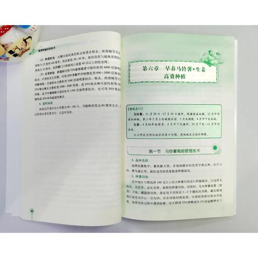 蔬菜种植实用技术   刘中良 武良(刘中良  武良) 商品图4