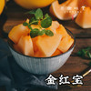 【预售，预计7.5日左右开始发货】阿拉善生态蜜瓜（基地直发-顺丰包邮） | 来自内蒙古阿拉善致良田，生产者：马彦伟，【合作生产，公平贸易】 商品缩略图2
