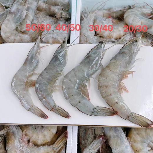 盐冻海捕青岛大虾  不包冰 不缩水  Q弹紧实 商品图2
