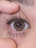 Sugarplum糖豆美瞳 海棠岛 14.2mm 商品缩略图0