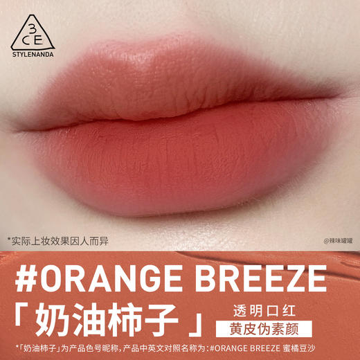 8809664983382	三熹玉3CE	暮色口红透明口红落日红泥春日玫瑰哑光显白不易沾杯 商品图3