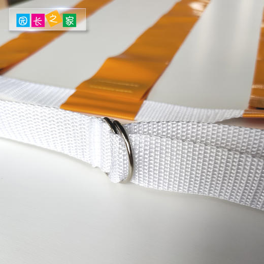 体能感统训练器材腰旗组合追逐飘带 商品图2